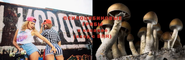 мдпв Дмитров