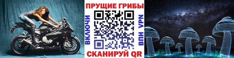 Псилоцибиновые грибы мицелий  Карачев 